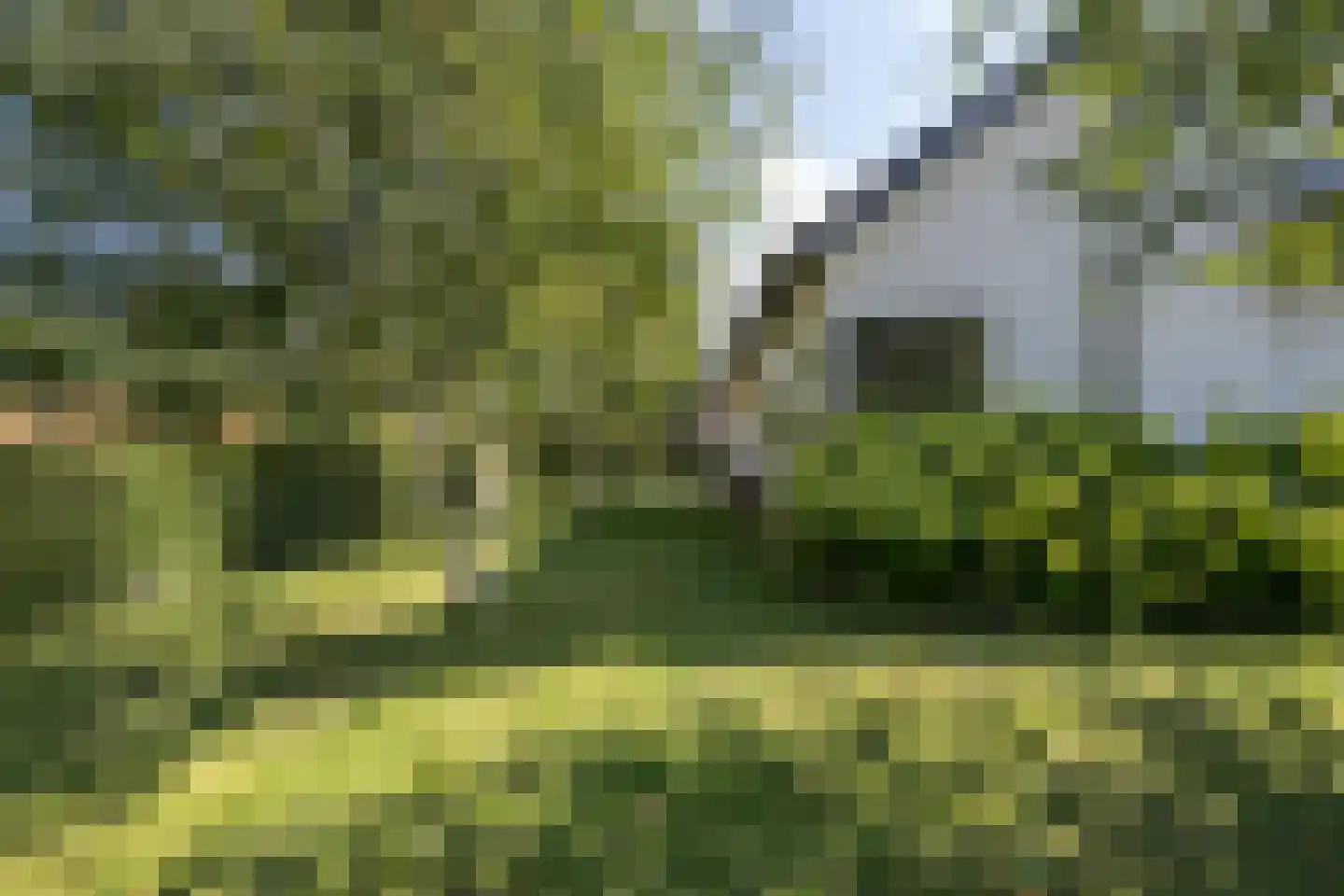 Zeven geversstraat 10 Druten thumbnail 42