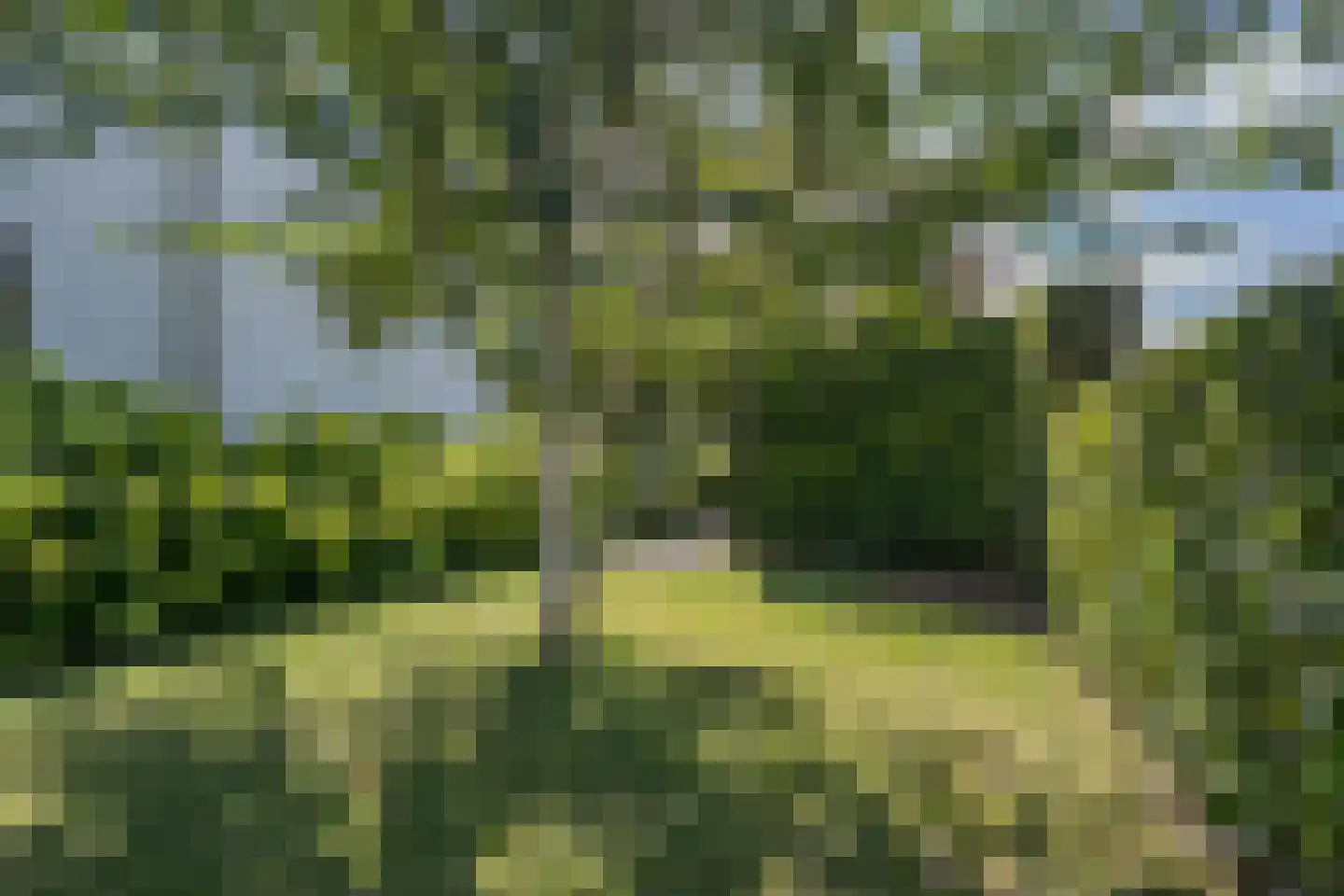 Zeven geversstraat 10 Druten thumbnail 43