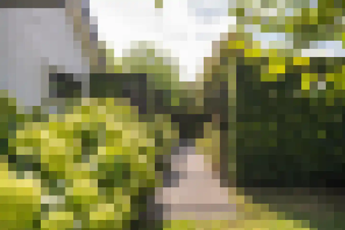 Zeven geversstraat 10 Druten thumbnail 45