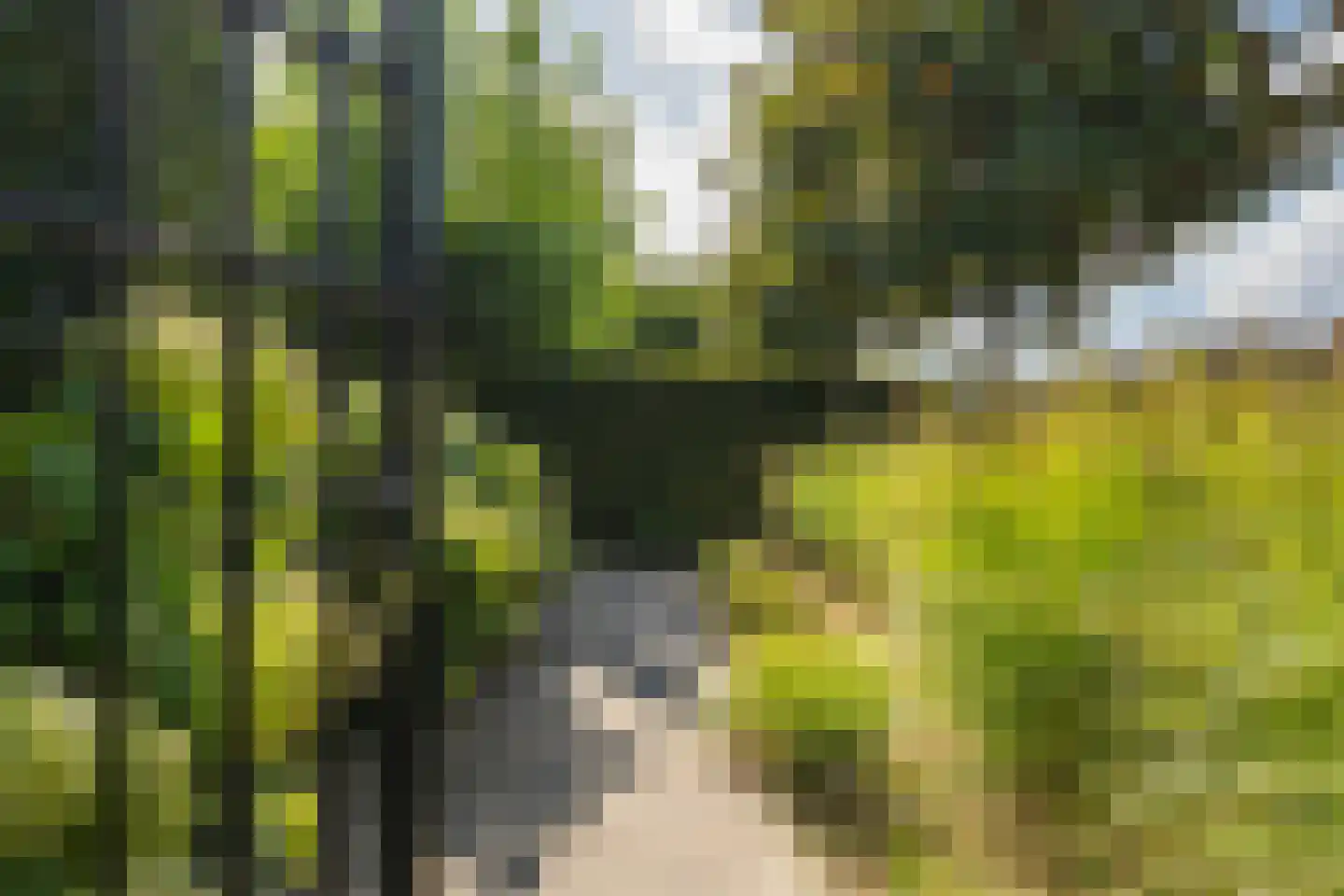 Zeven geversstraat 10 Druten thumbnail 46