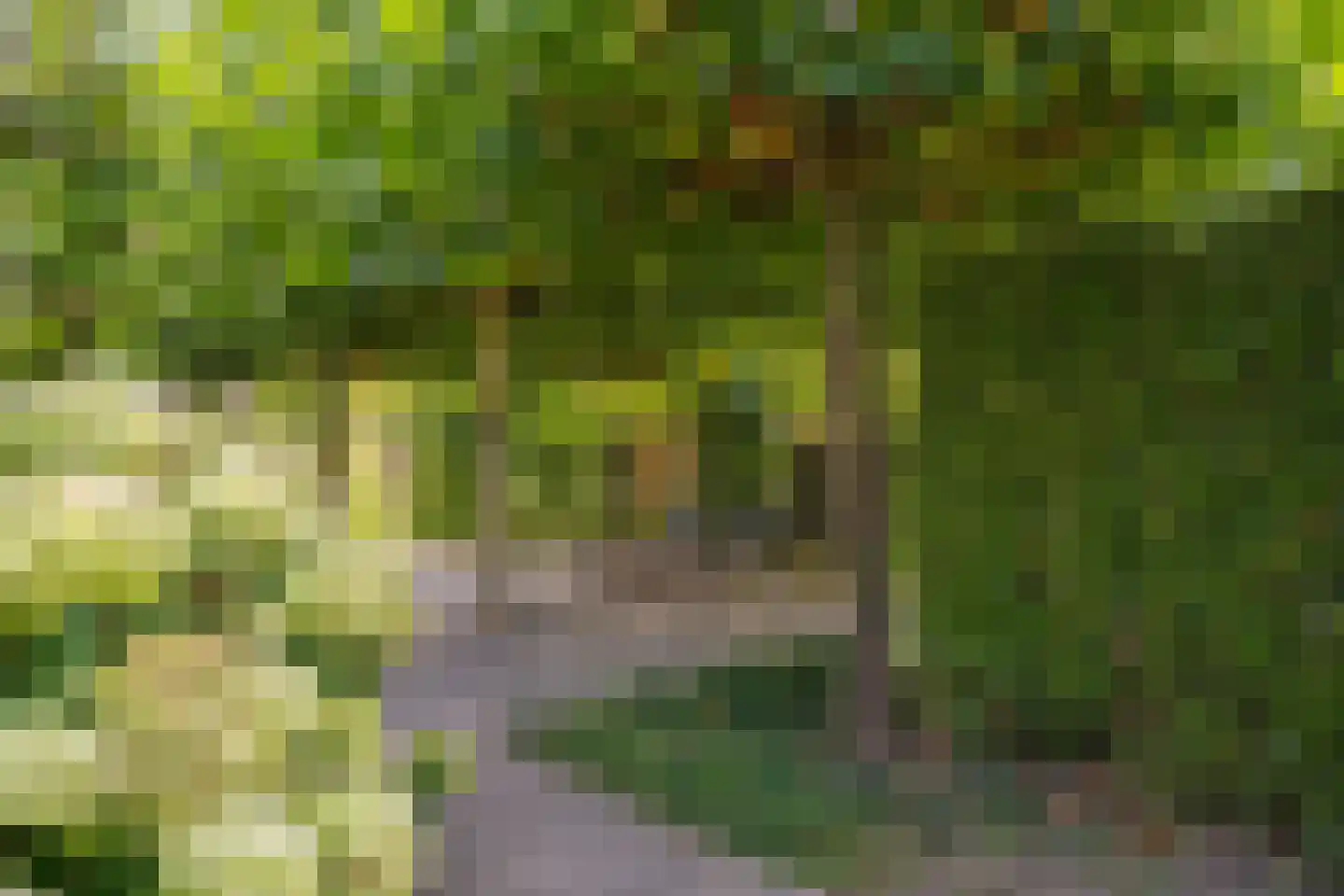 Zeven geversstraat 10 Druten thumbnail 47