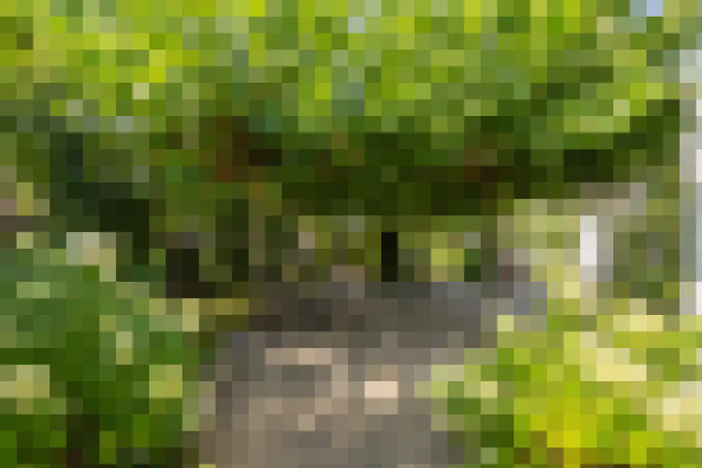 Zeven geversstraat 10 Druten thumbnail 51