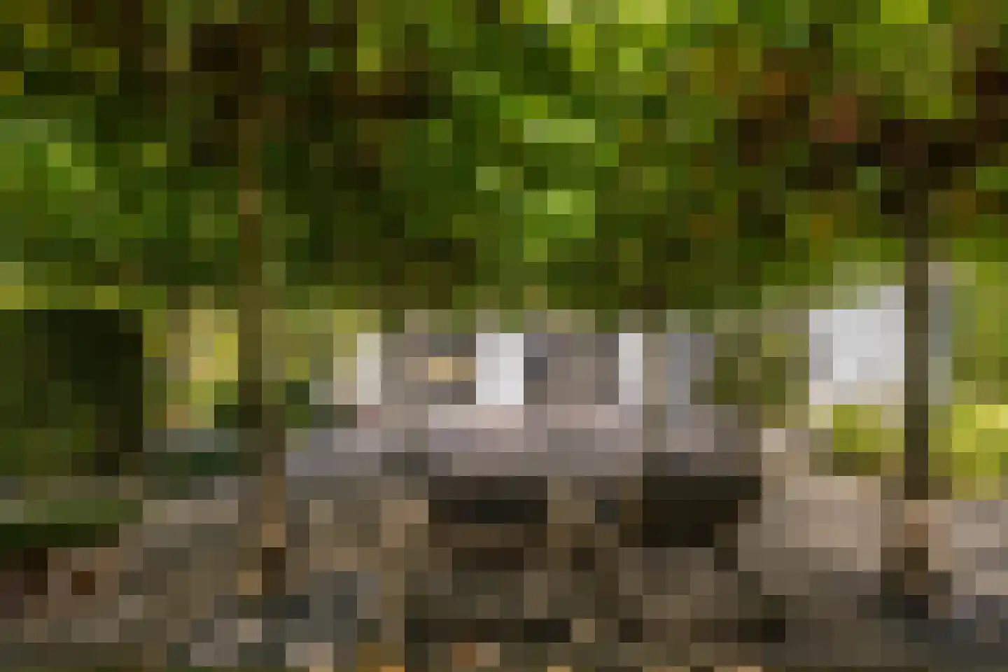 Zeven geversstraat 10 Druten thumbnail 52