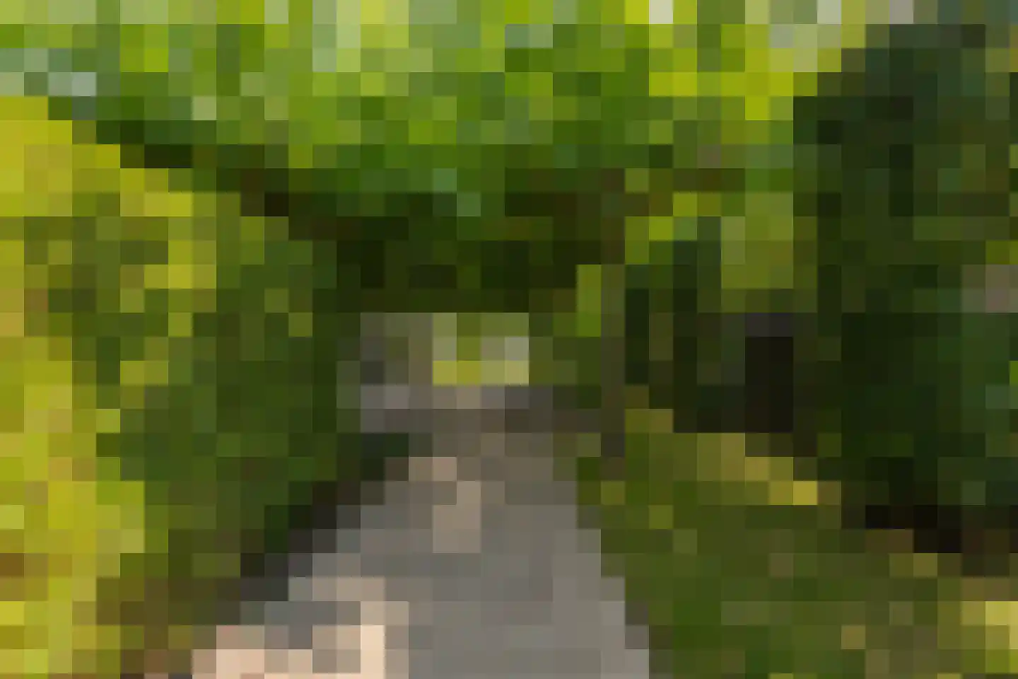 Zeven geversstraat 10 Druten thumbnail 53