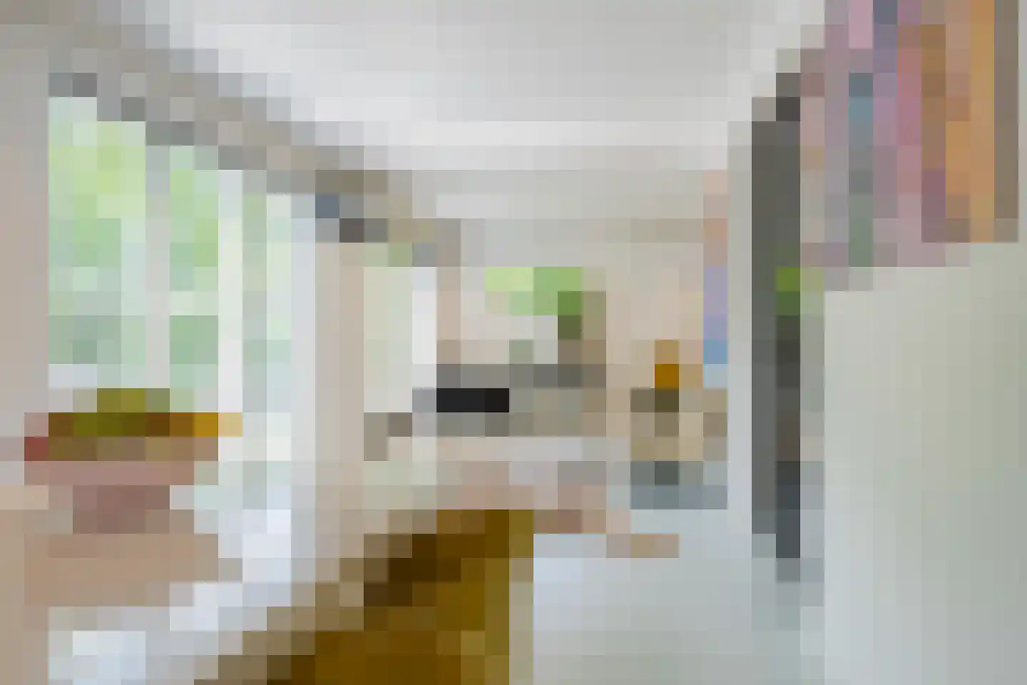 Zeven geversstraat 10 Druten thumbnail 8