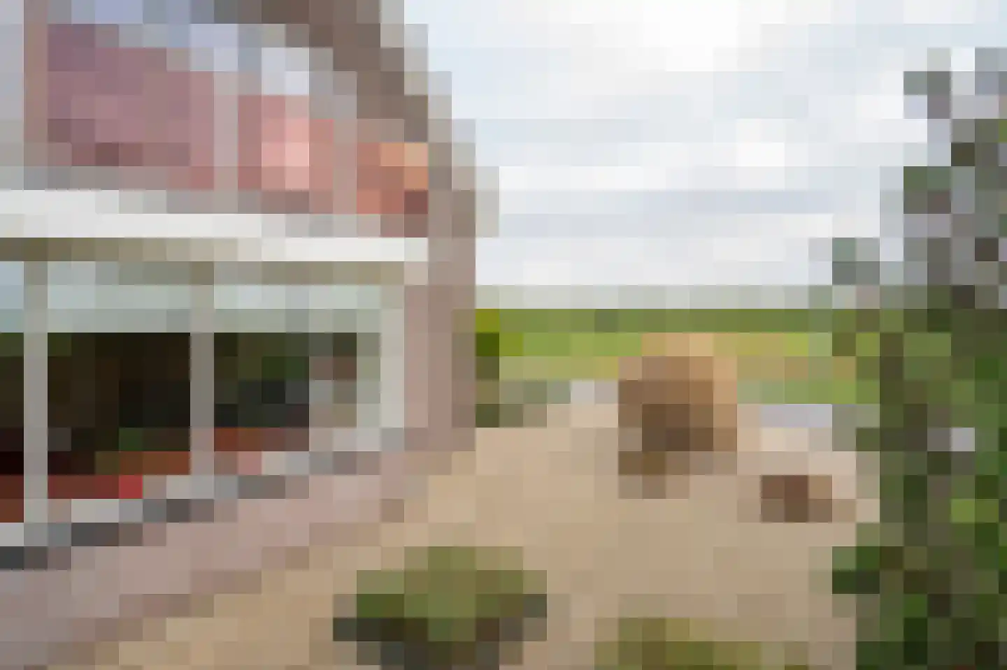 Zeven kastelenlaan 22 Deil thumbnail 45