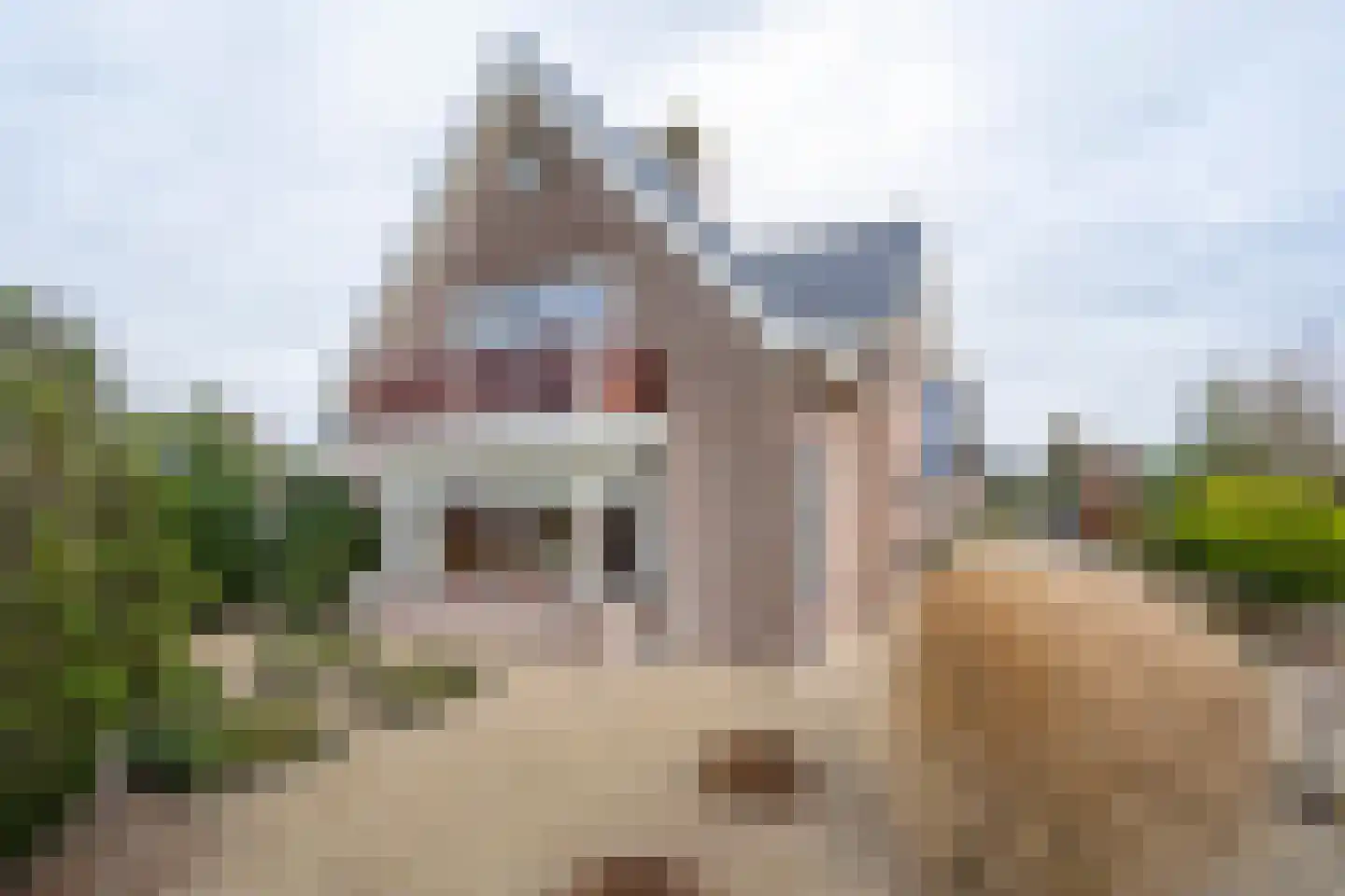 Zeven kastelenlaan 22 Deil thumbnail 46