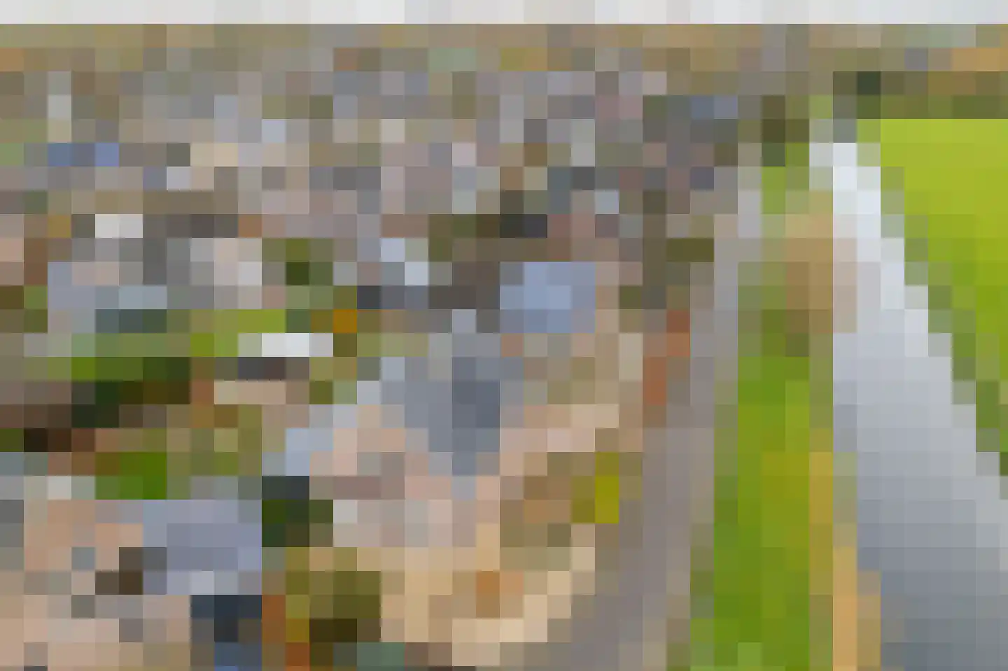 Zeven kastelenlaan 22 Deil thumbnail 54