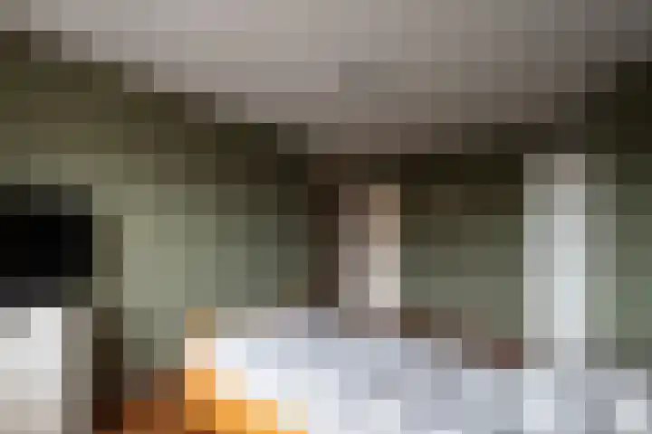 Zeven Peggenweg 19 Rijssen thumbnail 14