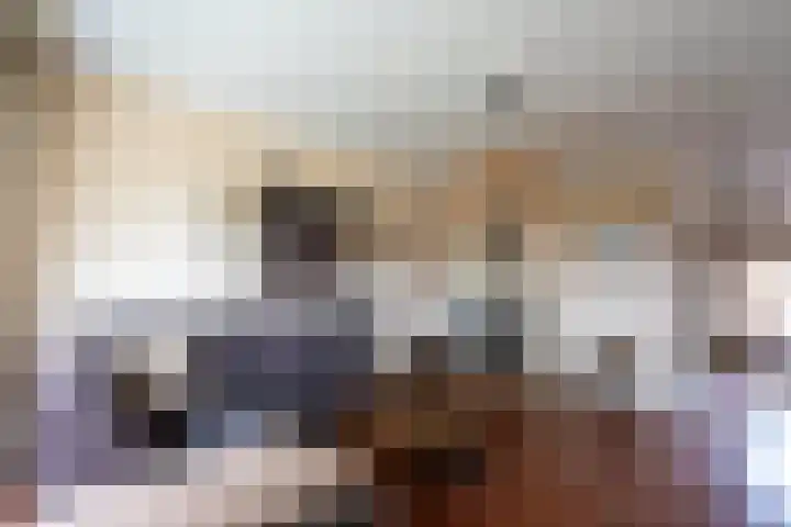 Zeven Peggenweg 19 Rijssen thumbnail 5