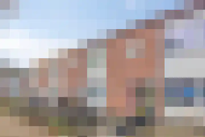 Zeven Triniteitsstraat 19 Terneuzen thumbnail 6