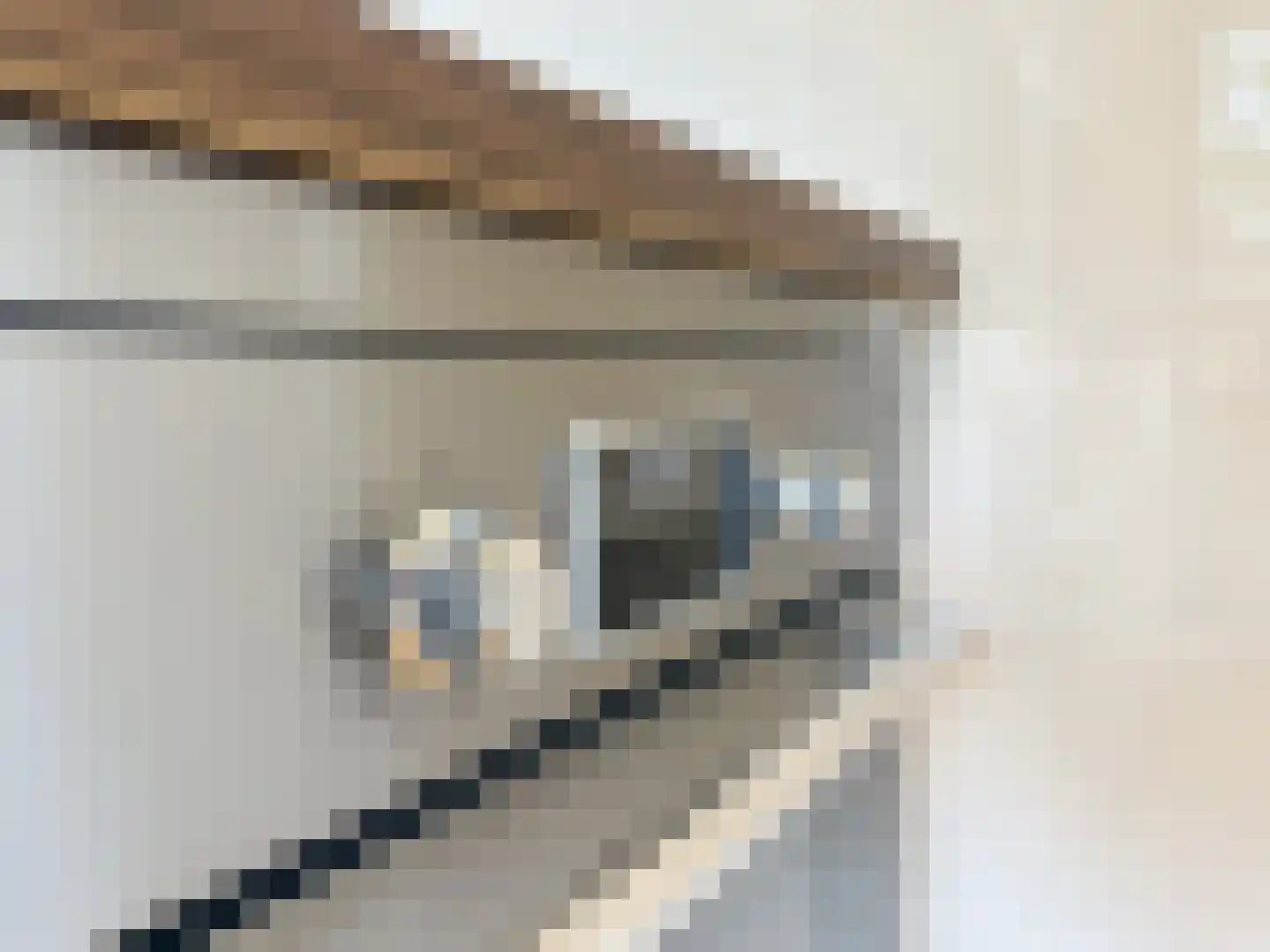 Zeven Triniteitsstraat 2 Terneuzen thumbnail 7