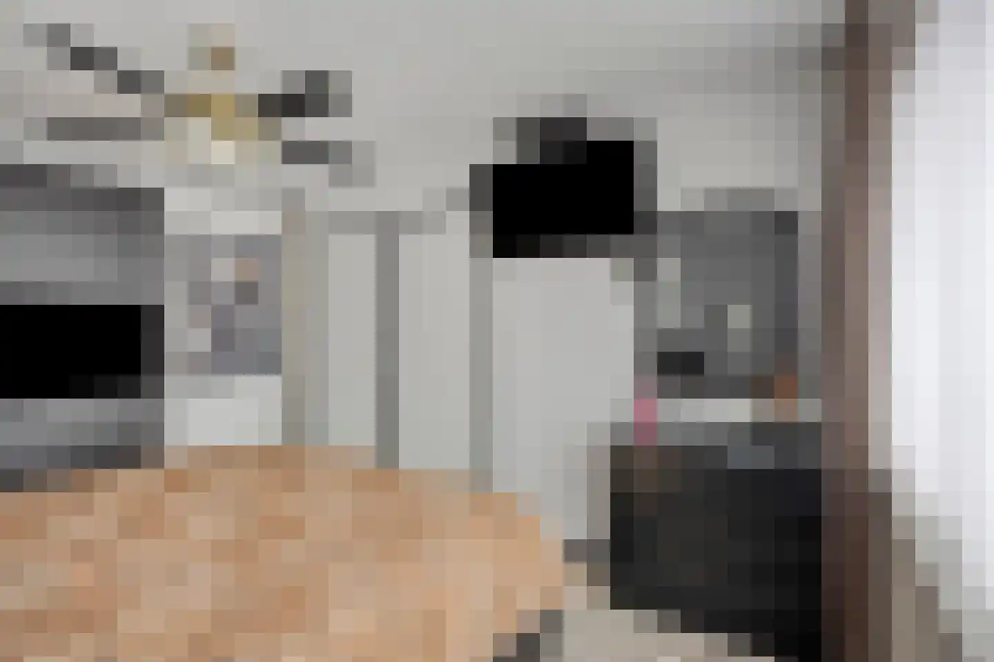 Zevenaarlaan 14 Eindhoven thumbnail 26