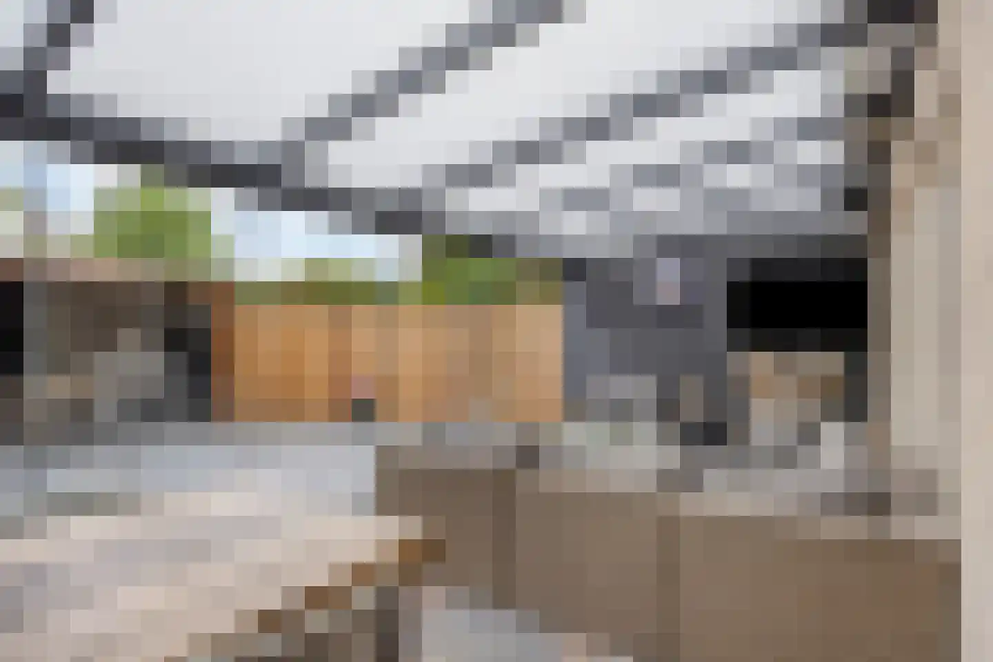 Zevenaarlaan 14 Eindhoven thumbnail 34