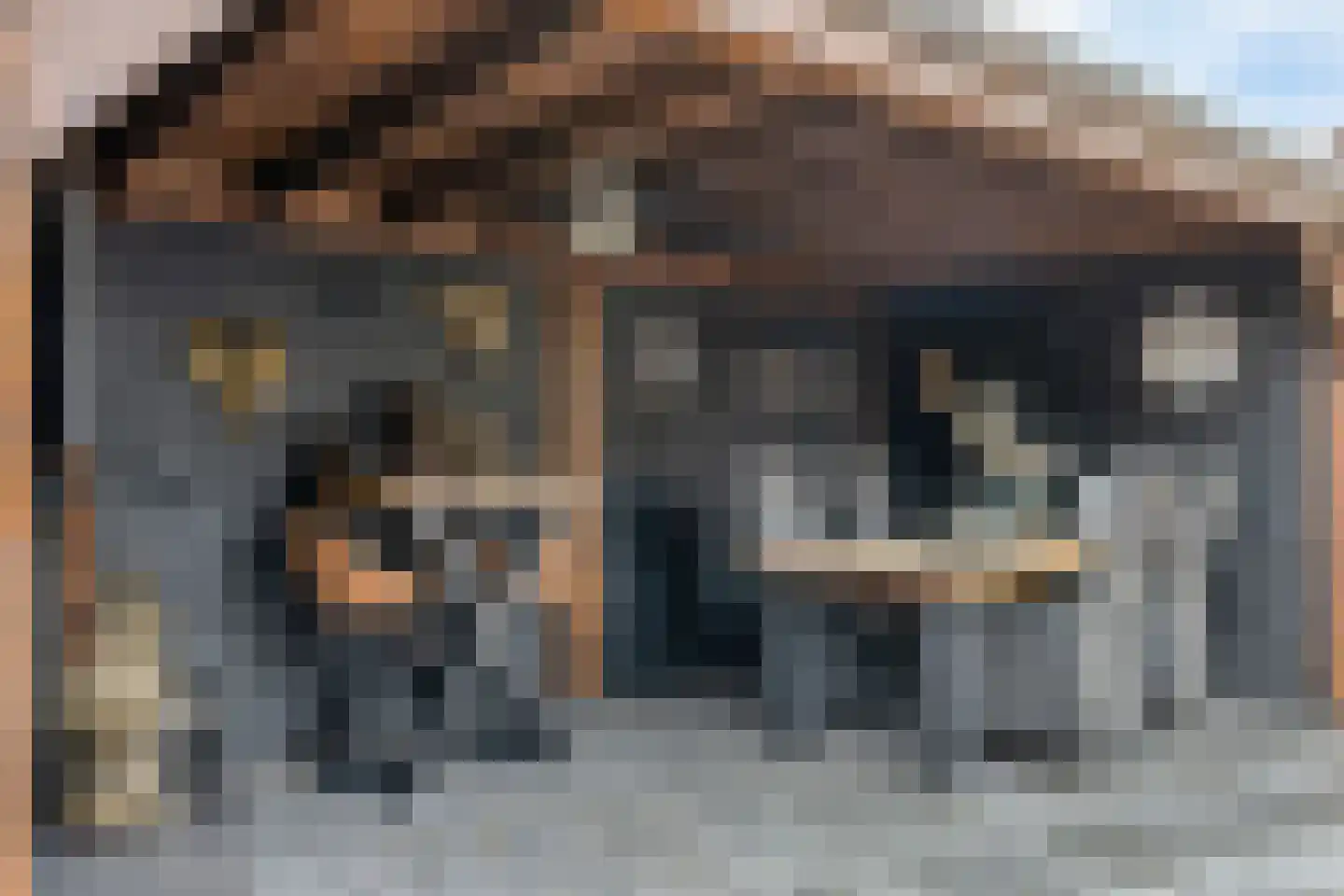 Zevenaarlaan 14 Eindhoven thumbnail 38