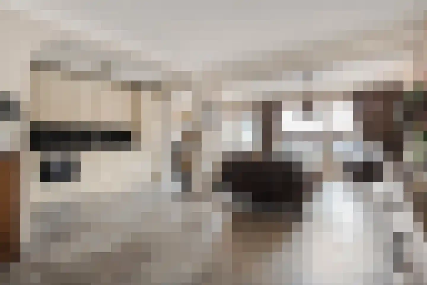 Zevenaarlaan 14 Eindhoven thumbnail 4