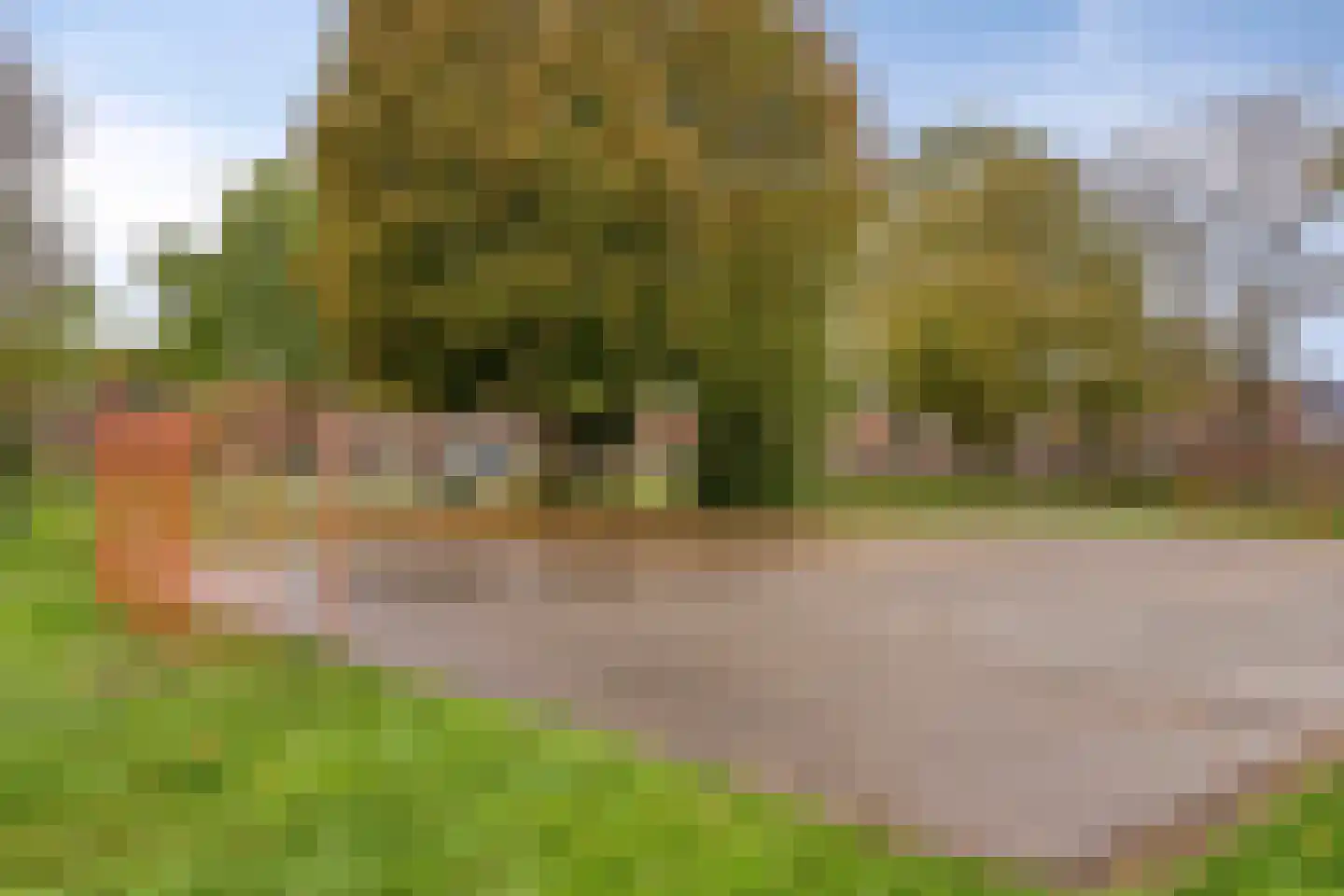 Zevenaarlaan 14 Eindhoven thumbnail 45