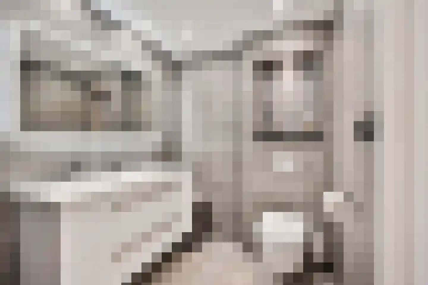 Zevenaarlaan 14 Eindhoven thumbnail 5