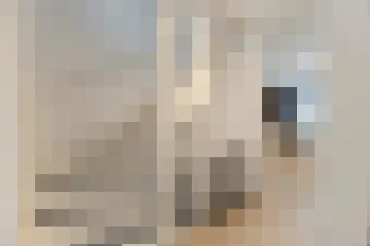Zevenaarstraat 12 Tilburg thumbnail 11