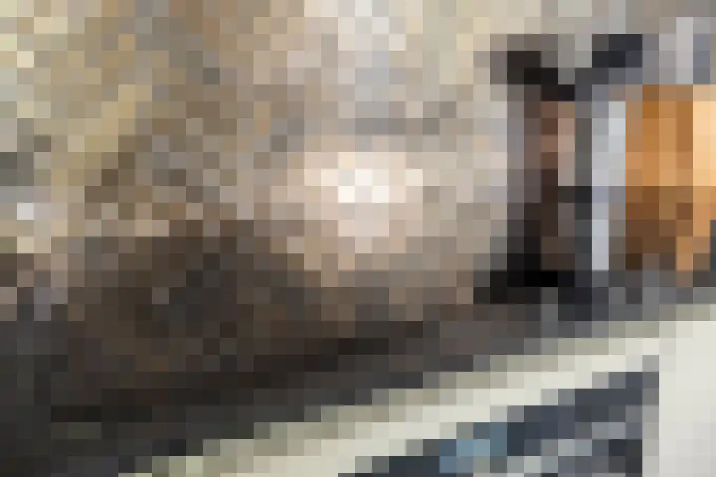 Zevenaarstraat 26 Tilburg thumbnail 25
