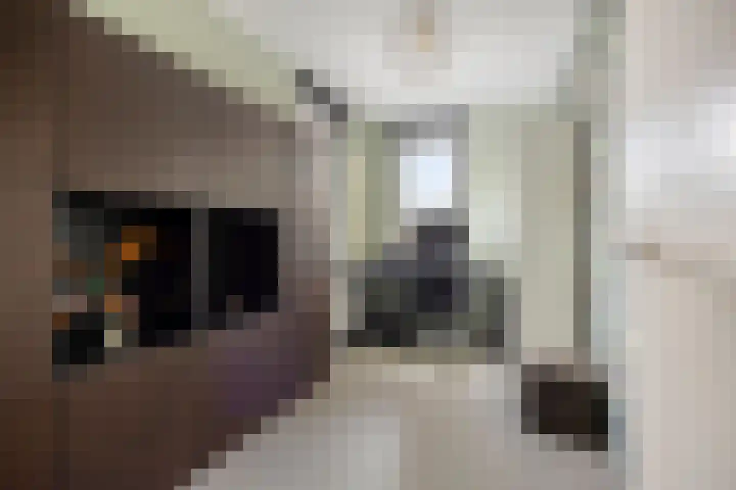Zevenaarstraat 26 Tilburg thumbnail 38