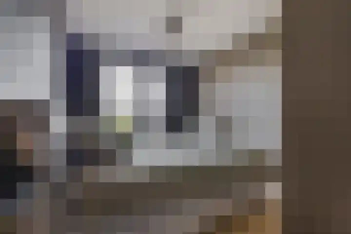 Zevenaarstraat 51 Tilburg thumbnail 18