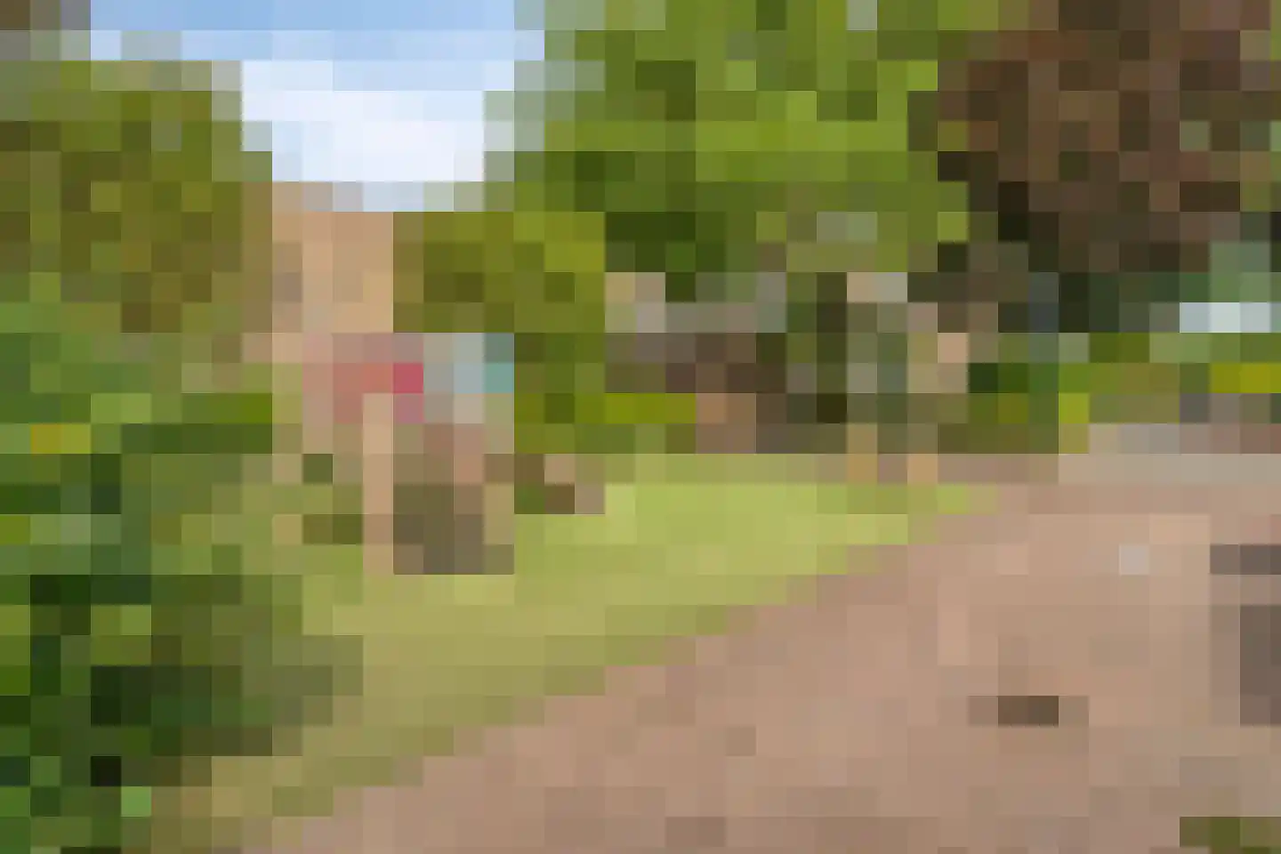 Zevenberg 14 Veldhoven thumbnail 38
