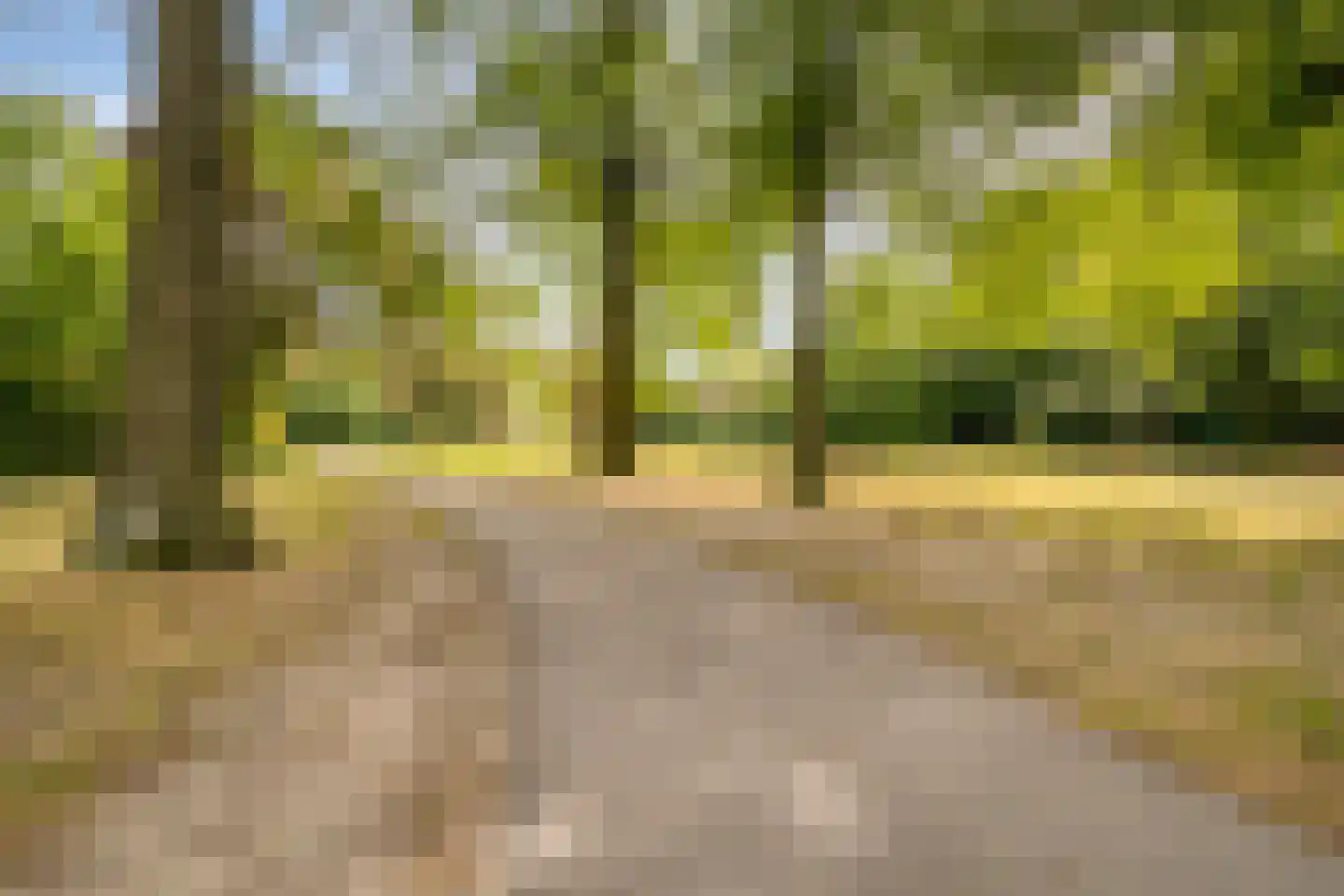 Zevenberg 14 Veldhoven thumbnail 40