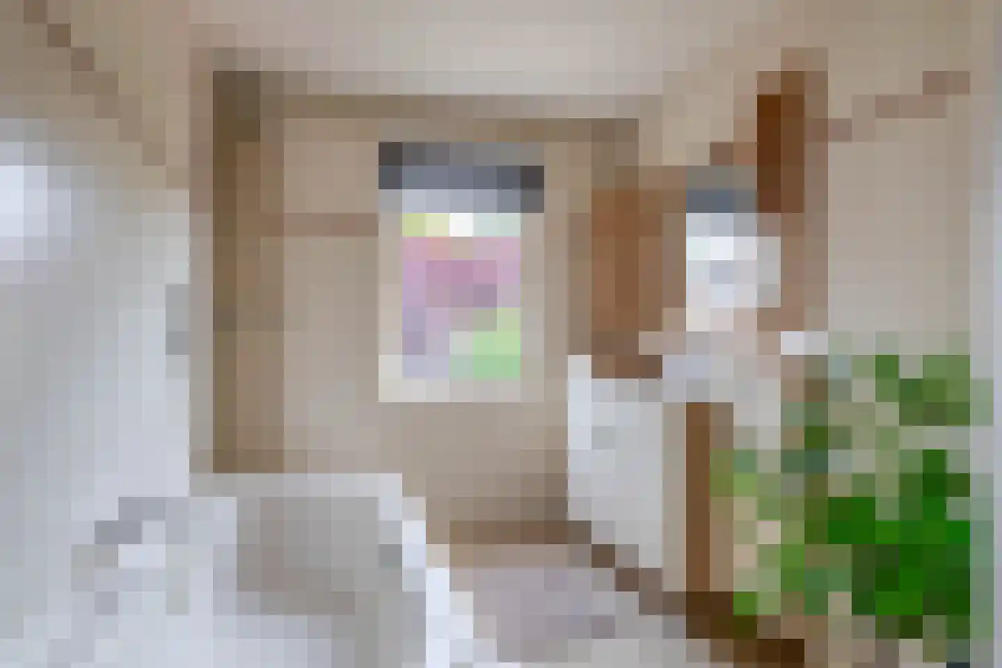 Zevenbergenstraat 1 Eindhoven thumbnail 33