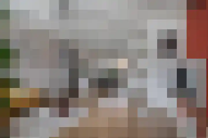 Zevenbergenstraat 16 Eindhoven thumbnail 11