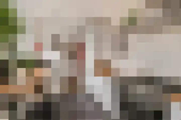 Zevenbergenstraat 16 Eindhoven thumbnail 16