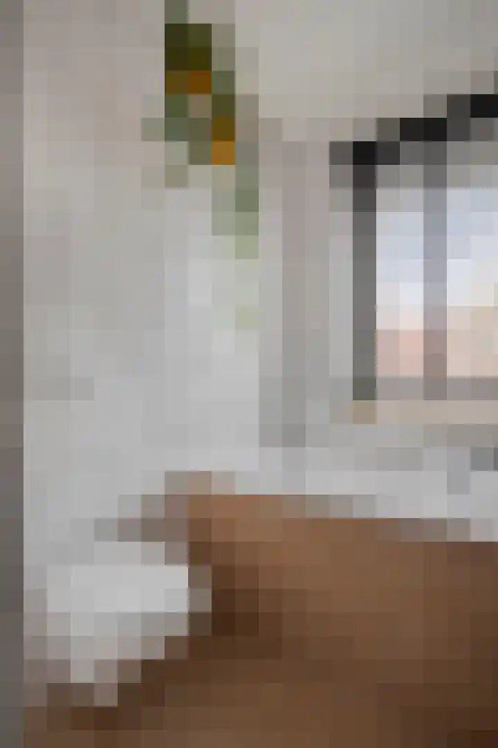 Zevenbergenstraat 16 Eindhoven thumbnail 24