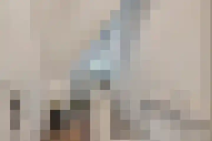 Zevenbergenstraat 16 Eindhoven thumbnail 31