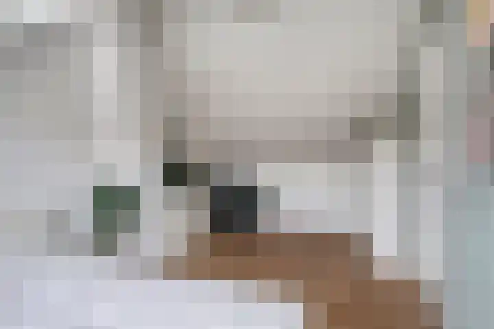 Zevenbergenstraat 16 Eindhoven thumbnail 33