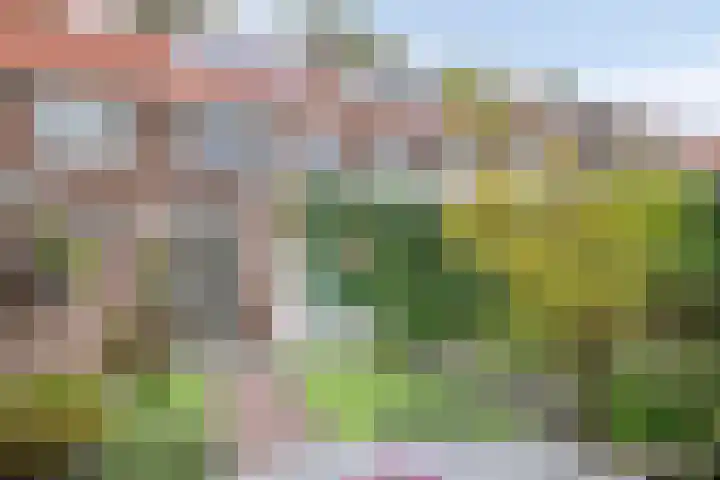 Zevenbergenstraat 16 Eindhoven thumbnail 38