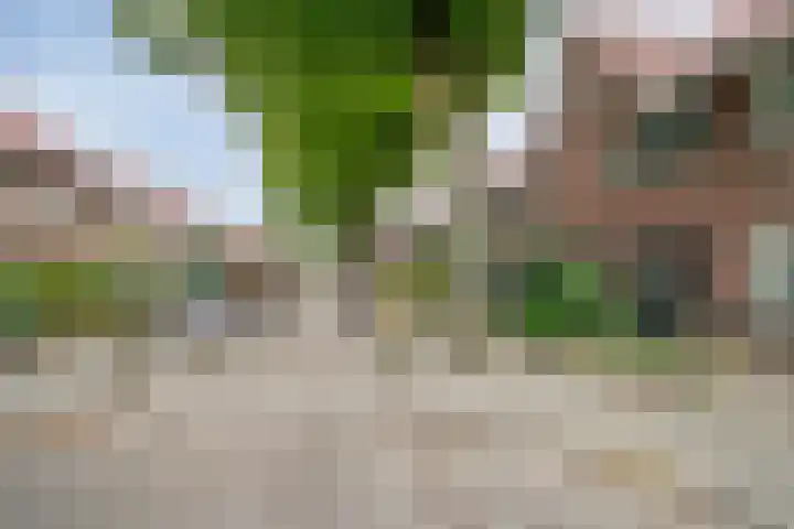 Zevenbergenstraat 16 Eindhoven thumbnail 43