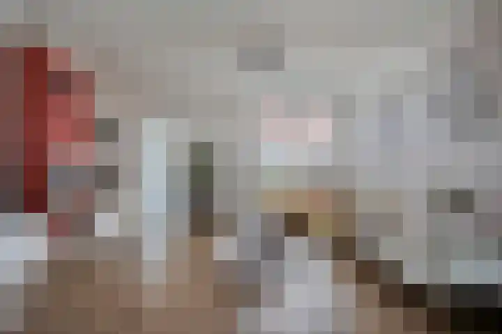 Zevenbergenstraat 16 Eindhoven thumbnail 7