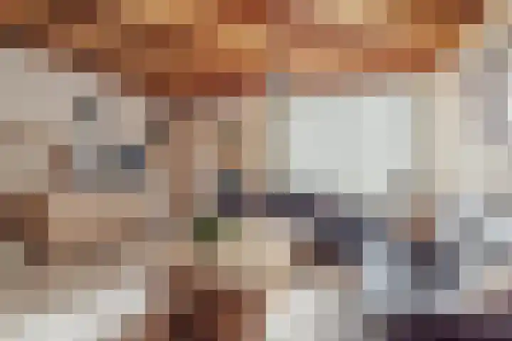 Zevenbergenstraat 19 Eindhoven thumbnail 10