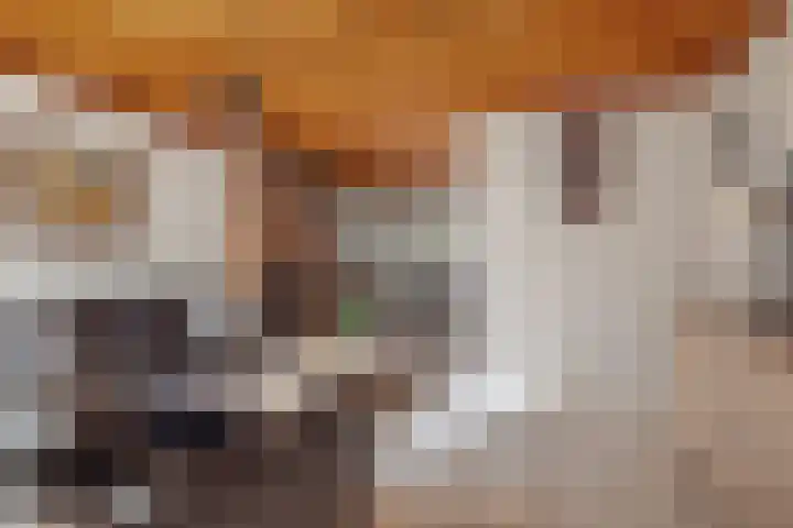 Zevenbergenstraat 19 Eindhoven thumbnail 11