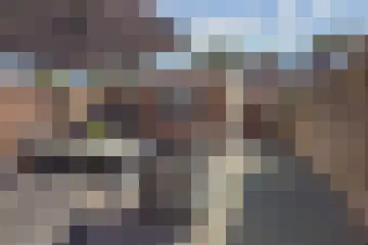 Zevenbergenstraat 19 Eindhoven thumbnail 33