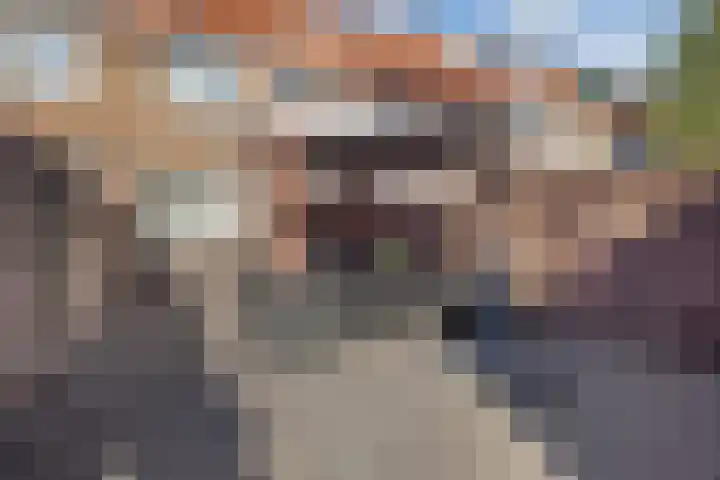 Zevenbergenstraat 19 Eindhoven thumbnail 36