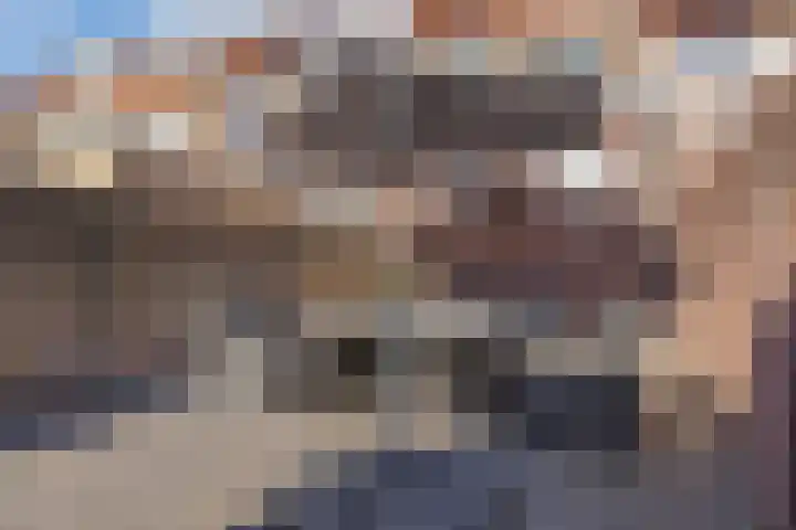Zevenbergenstraat 19 Eindhoven thumbnail 37