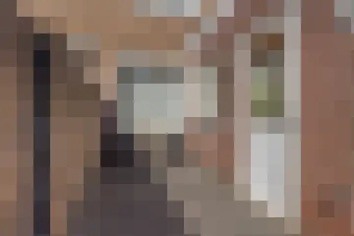 Zevenbergenstraat 19 Eindhoven thumbnail 38