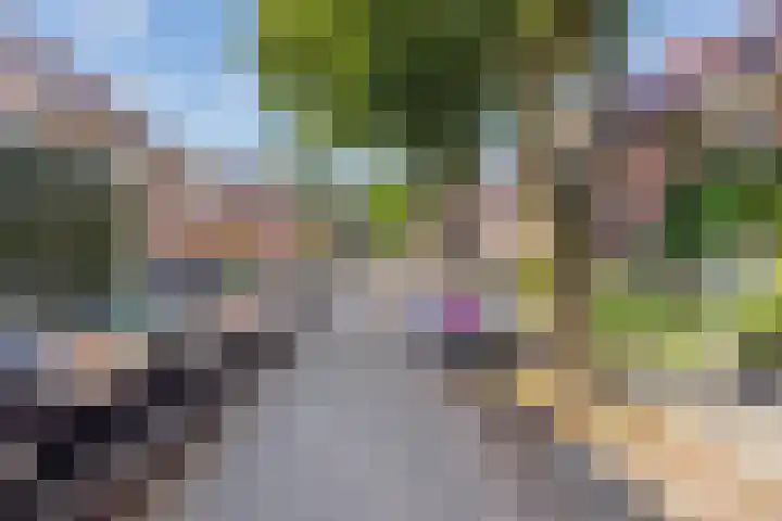 Zevenbergenstraat 19 Eindhoven thumbnail 4