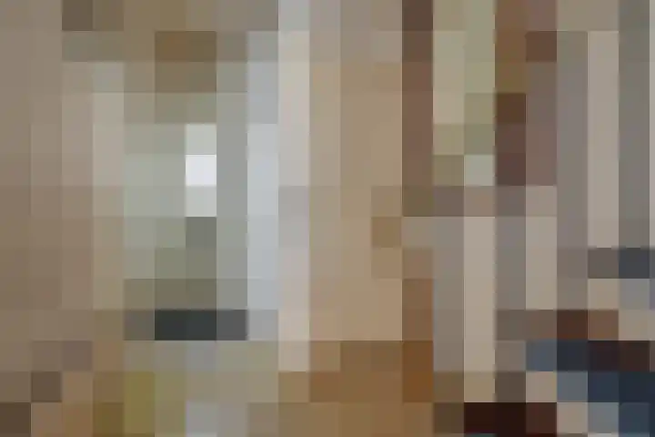Zevenbergenstraat 19 Eindhoven thumbnail 7