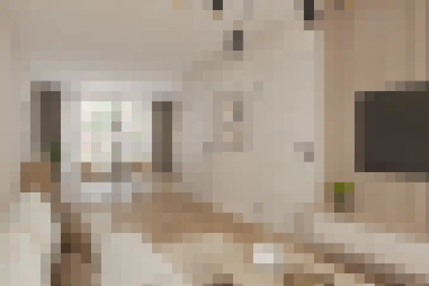 Zevenbergenstraat 2 Eindhoven thumbnail 16