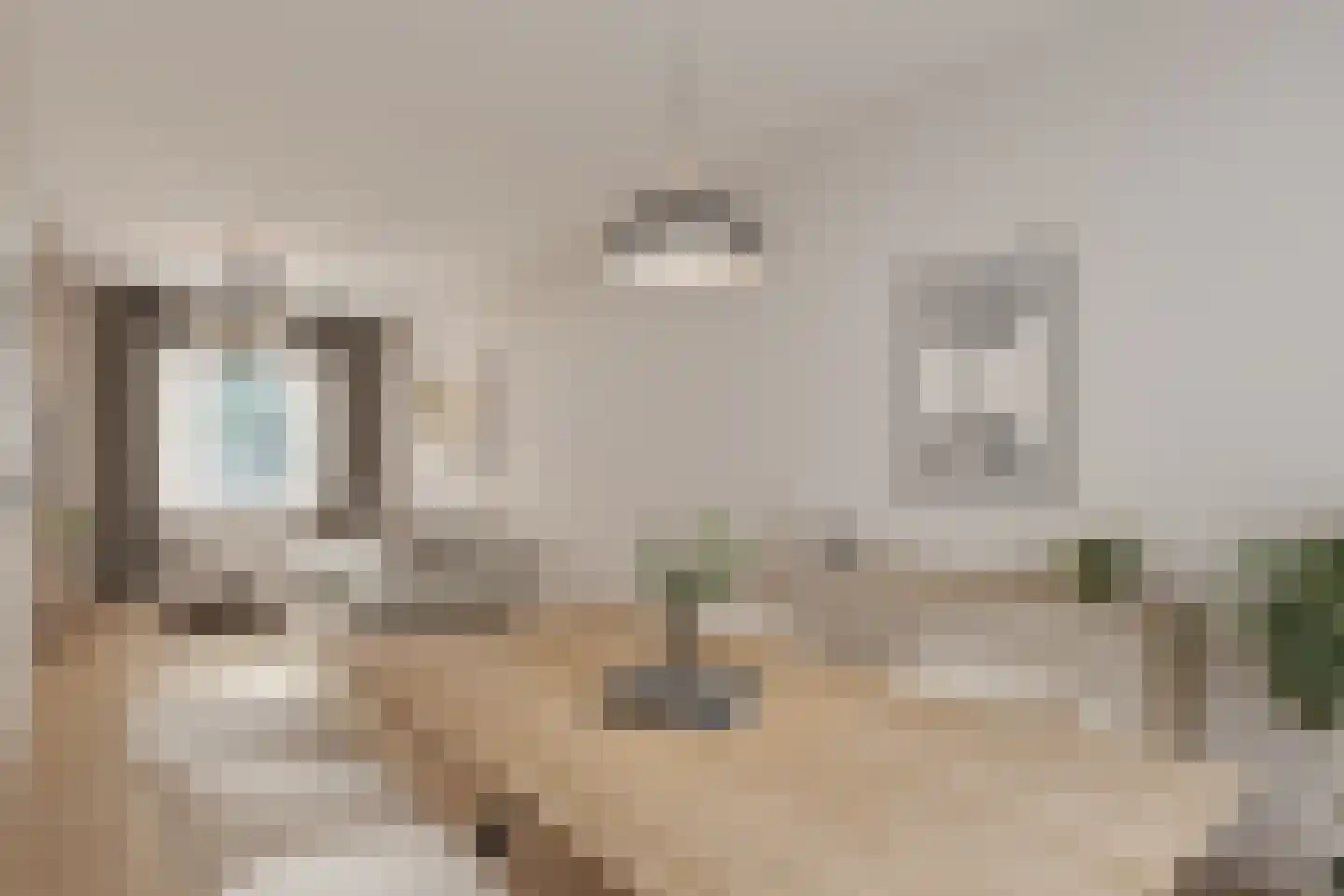 Zevenbergenstraat 2 Eindhoven thumbnail 17