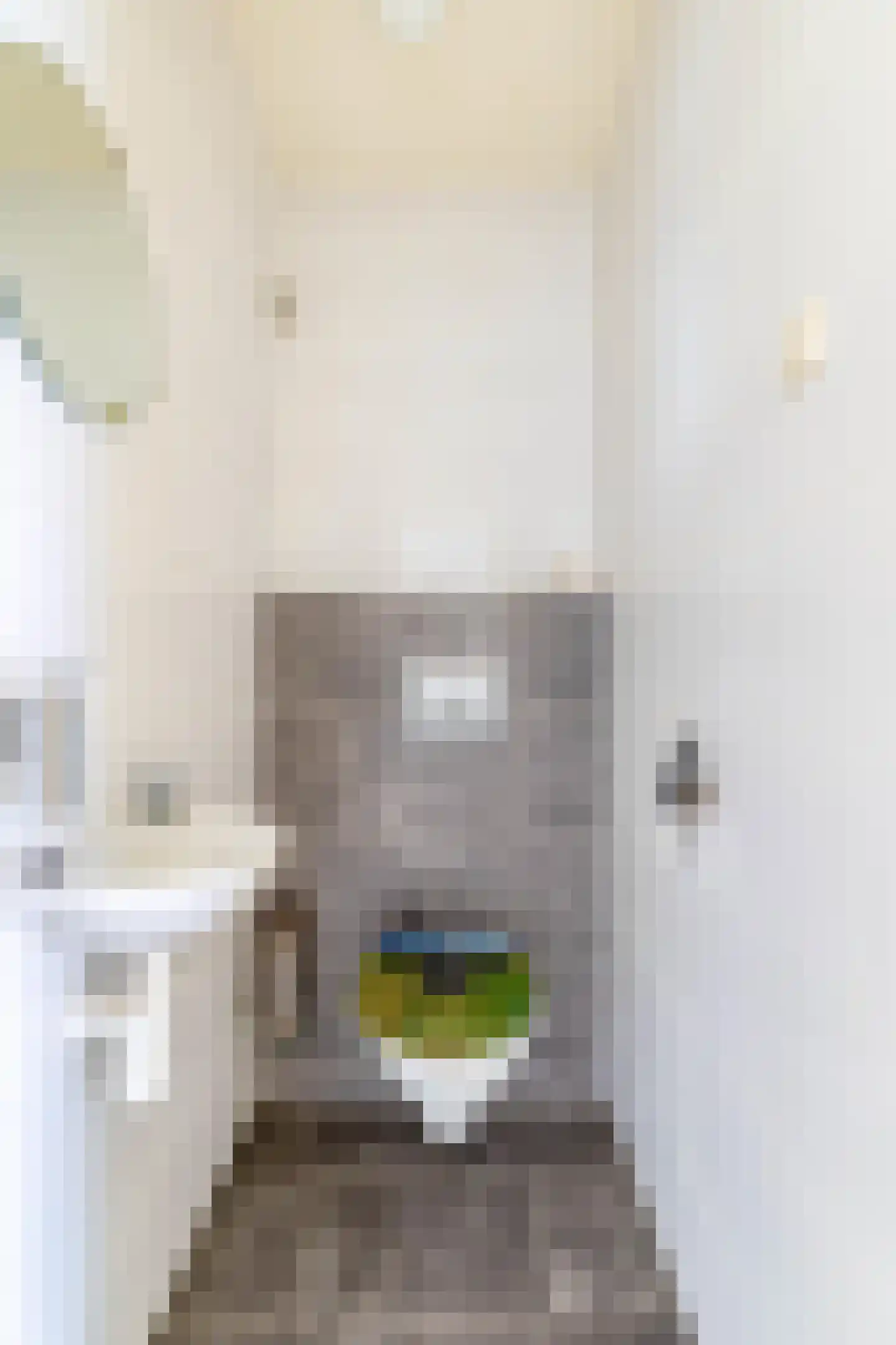 Zevenbergenstraat 2 Eindhoven thumbnail 23