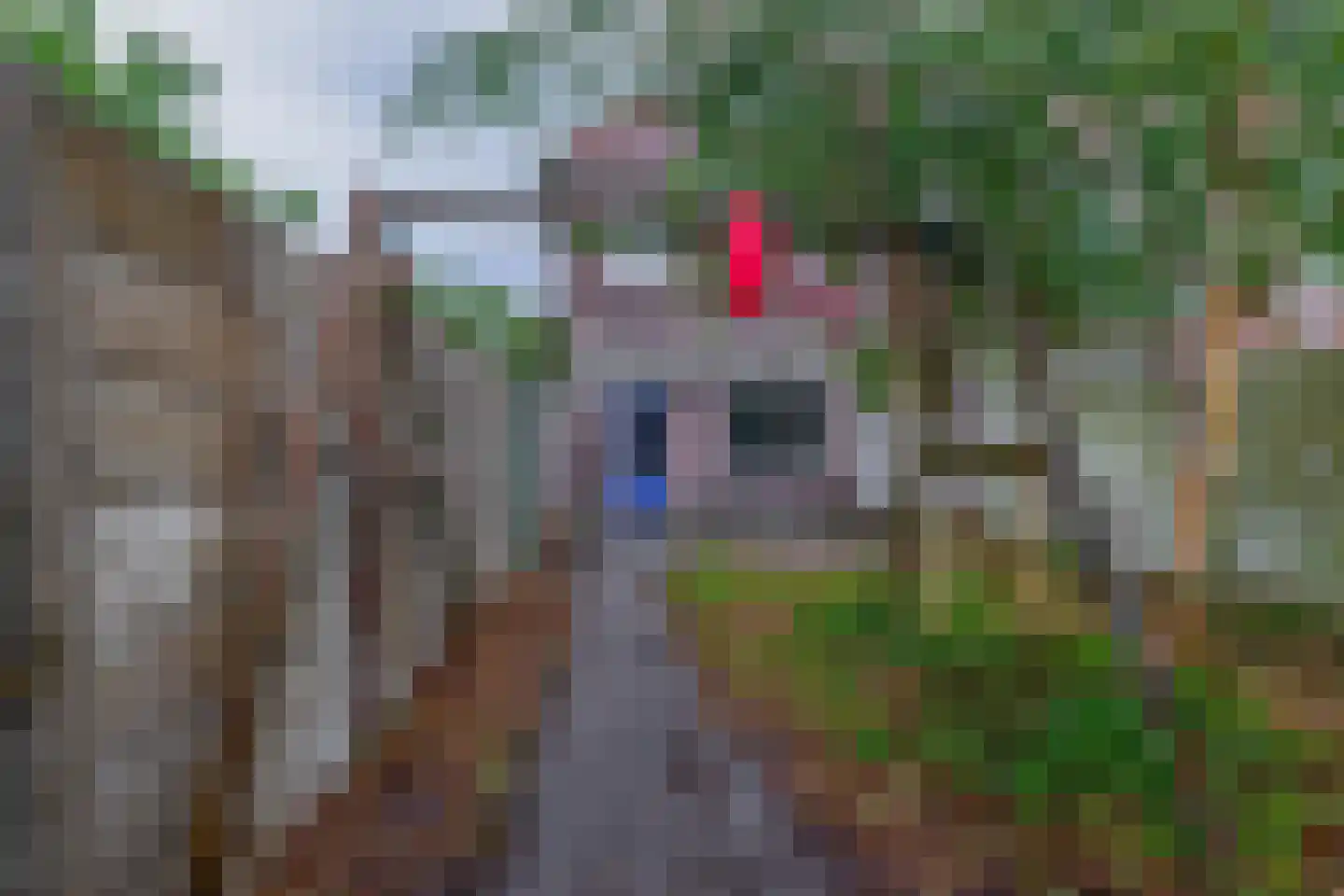 Zevenbergenstraat 2 Eindhoven thumbnail 36