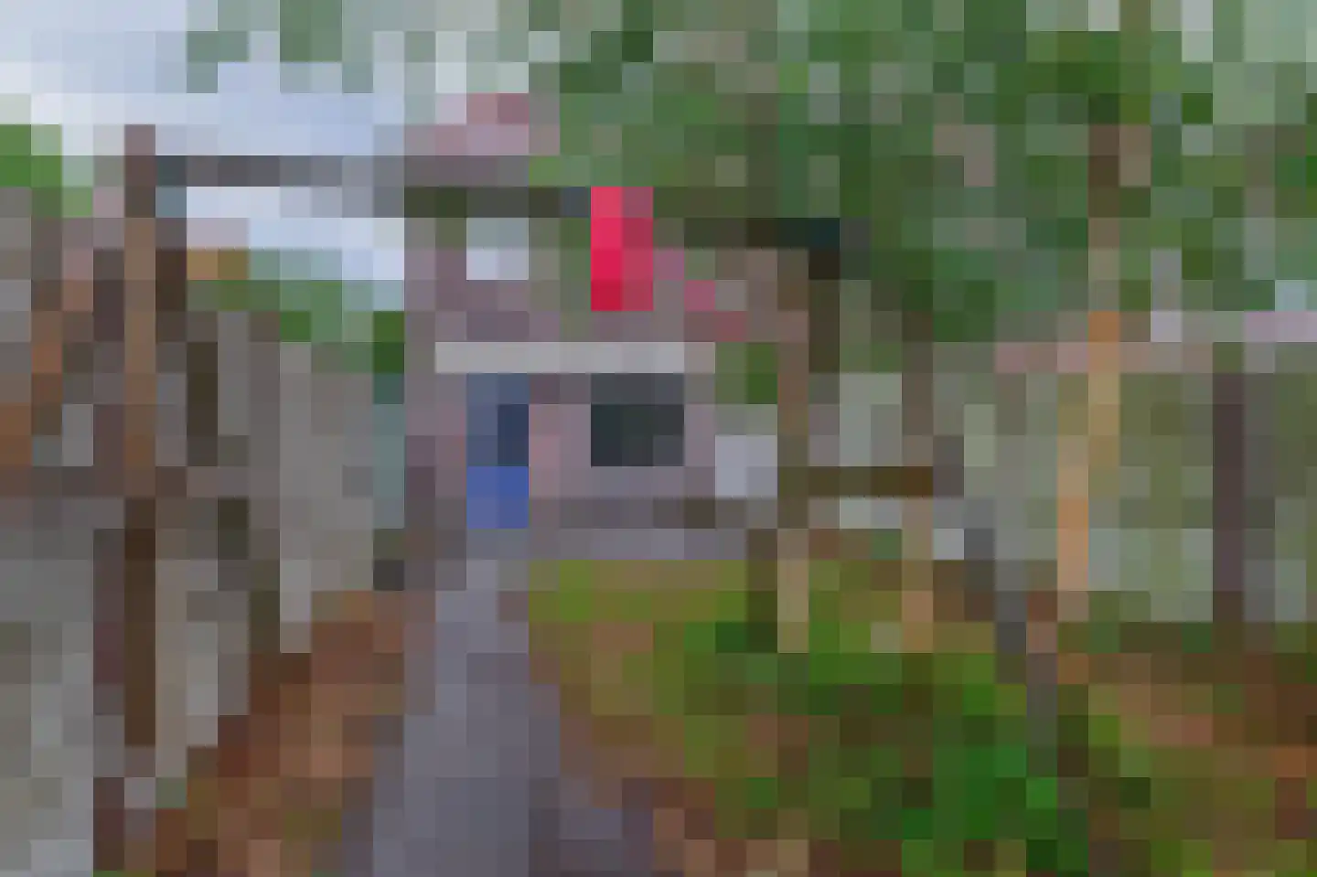 Zevenbergenstraat 2 Eindhoven thumbnail 37